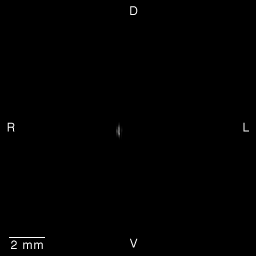 Multi-dimensional Human Embryo, Image/Animation Page